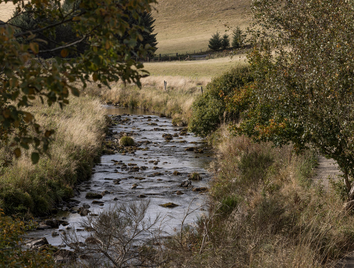 As Gordon clan territory, The Cabrach became a stronghold for the Jacobites