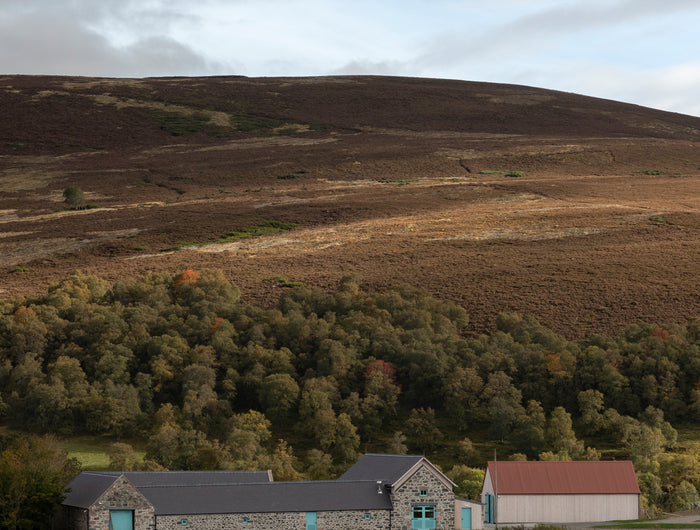 The hunting forests of The Cabrach were once the land of Scottish kings